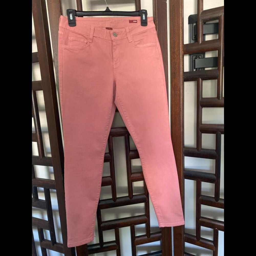 NWOT Arizona Jean Co Jegging